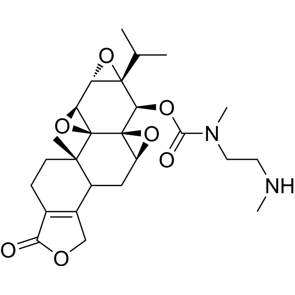 TP-DEA2